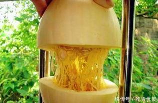 鱼翅瓜咋样吃,探索美味与营养的完美结合