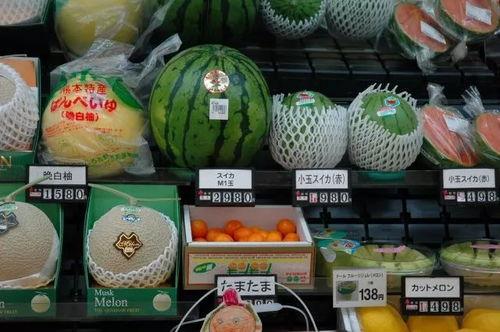 如何拿到吃瓜动作,解锁夏日清凉新姿势