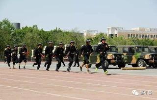 吃瓜警校,揭秘校园里的神秘警花与热血青春