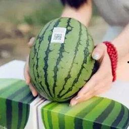 一喜吃瓜,揭秘娱乐圈那些不为人知的幕后故事