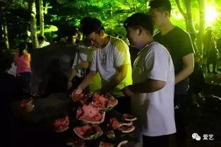 西原演艺吃瓜事件,揭秘娱乐圈背后的惊人真相