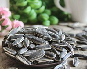 吃瓜也吃瓜子,探寻吃瓜与吃瓜子的独特魅力