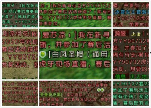 寻仙吃瓜,揭秘仙界美食背后的神秘瓜界传奇