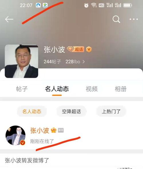 吃瓜博主录音,一场娱乐圈的“瓜田大战”