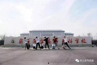 商丘医专吃瓜,一场“吃瓜”事件背后的真相揭秘