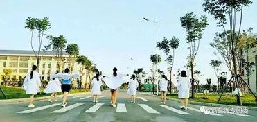 商丘医专吃瓜,一场“吃瓜”事件背后的真相揭秘