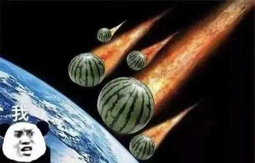 宝宝吃瓜文案,甜蜜瓜果盛宴