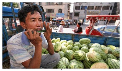 吃瓜一百张图片大全,吃瓜界的欢乐盛宴