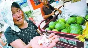 吃瓜一百张图片大全,吃瓜界的欢乐盛宴