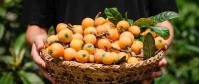 靶向药可以吃蜜瓜,蜜瓜助力精准治疗