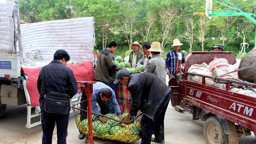 顺平吃瓜群众案件,揭秘网络谣言背后的真相