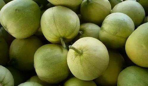 英国吃瓜两个人吃瓜视频,甜蜜互动引网友热议