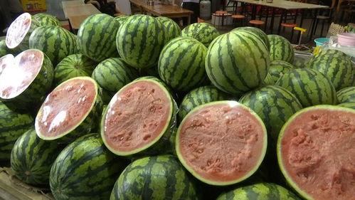 英国吃瓜两个人吃瓜视频,甜蜜互动引网友热议