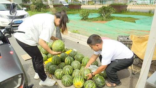 英国吃瓜两个人吃瓜视频,甜蜜互动引网友热议