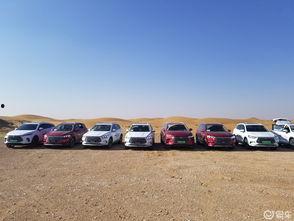 嵊州比亚迪吃瓜,真相与争议交织