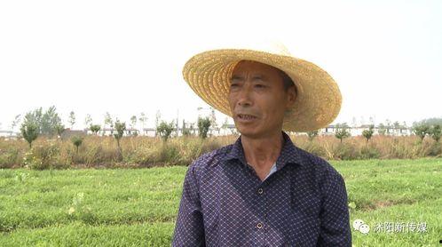 沭阳如东吃瓜,一场别开生面的吃瓜盛宴