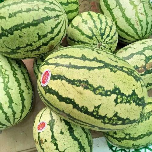 买一斤瓜吃,品味生活中的小确幸