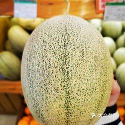 声控吃沙漠蜜瓜,沙漠蜜瓜的神秘诱惑