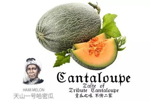 吃瓜11号,一场网络热议背后的真相