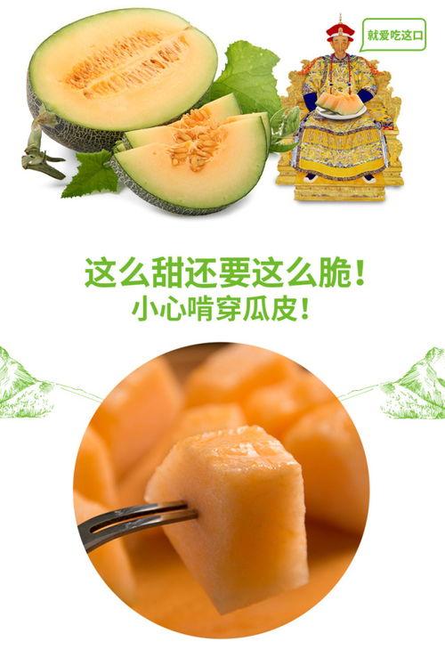 吃瓜11号,一场网络热议背后的真相