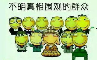 加菲前排吃瓜,笑料横生一幕幕