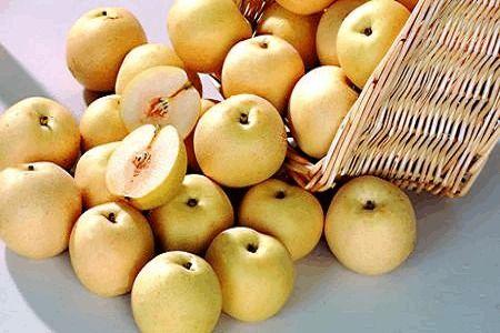 吃瓜的梨蕾,探寻夏日消暑美食之旅