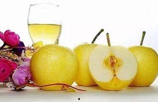 吃瓜的梨蕾,探寻夏日消暑美食之旅