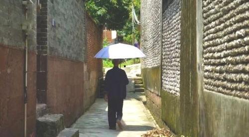 平塘吃瓜群众事件,网络舆论下的社会现象解析