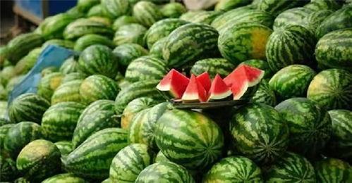 灵尊手下吃瓜,揭秘神秘世界幕后风云