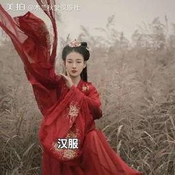 吃瓜汉服社,吃瓜汉服社的文化之旅