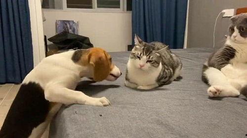 隔壁村吃瓜群众,揭秘邻村那些事儿