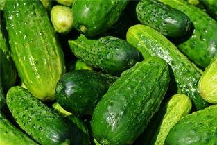 夜里梦见自己吃瓜,瓜果飘香，夜半梦回瓜田