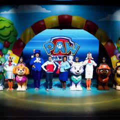 汪汪队明星吃瓜,吃瓜背后的故事与真相