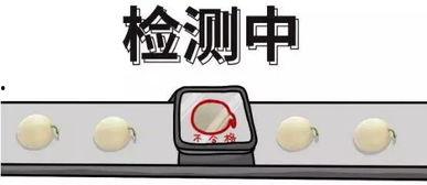 吃瓜爆料问题,吃瓜爆料背后的真相与内幕