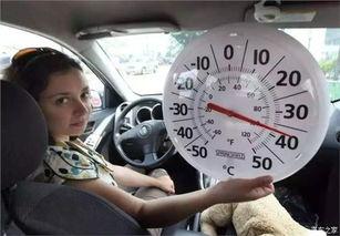 妈妈在车上吃瓜,温馨瞬间定格时光