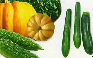 freeman 吃瓜,瓜界新贵，揭秘娱乐圈幕后风云