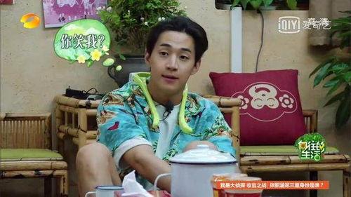 吃瓜小熊陈都灵,吃瓜小熊的娱乐圈奇遇记