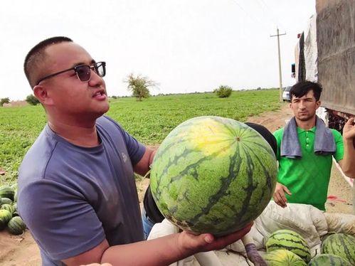 广西桂林吃瓜新闻,揭秘当地一桩引人关注的饮食风波