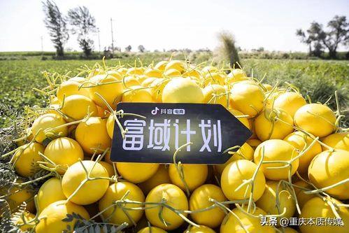 吃瓜抖音效果,揭秘热门事件背后的真相