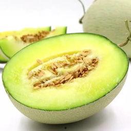 主播吃静冈蜜瓜,主播现场品鉴静冈蜜瓜美味之旅