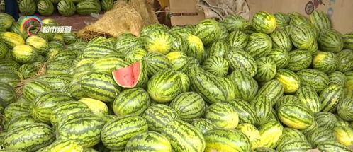 吃瓜零售,揭秘吃瓜经济崛起之谜