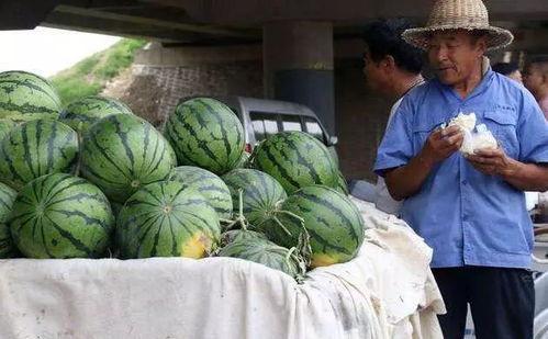 青田网红吃瓜事件,揭秘网络舆论的风云变幻