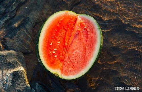 退体吃瓜,吃瓜乐逍遥