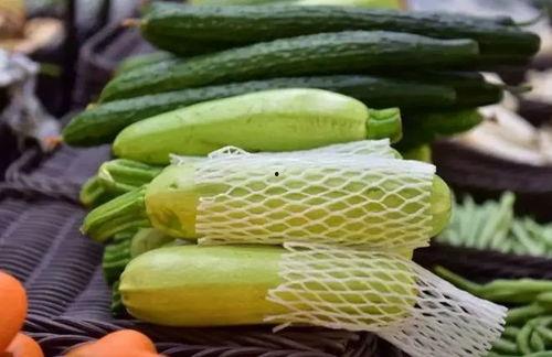 退体吃瓜,吃瓜乐逍遥