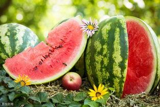 今天吃瓜行情,揭秘娱乐圈最新热点事件