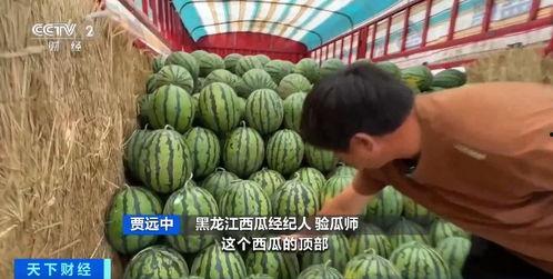 今天吃瓜行情,揭秘娱乐圈最新热点事件