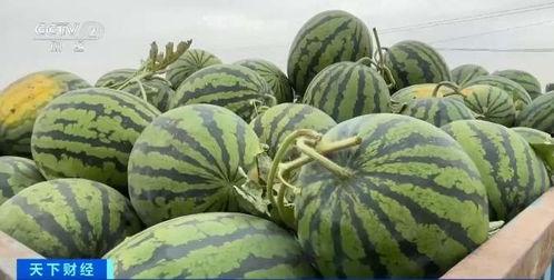 今天吃瓜行情,揭秘娱乐圈最新热点事件