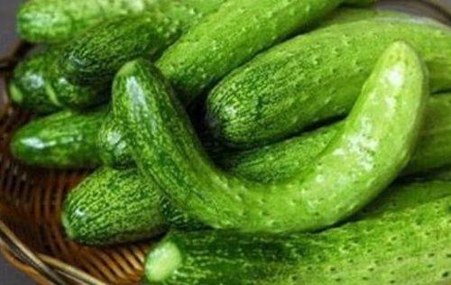 吃瓜群众购买黄瓜,吃瓜群众黄瓜购买热潮背后的故事