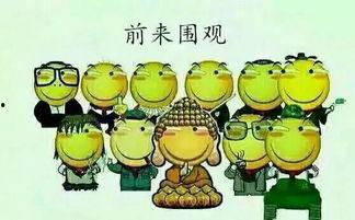 秦安吃瓜群众是谁