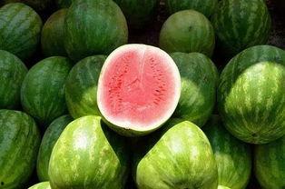 吃瓜中照片,揭秘吃瓜群众背后的故事